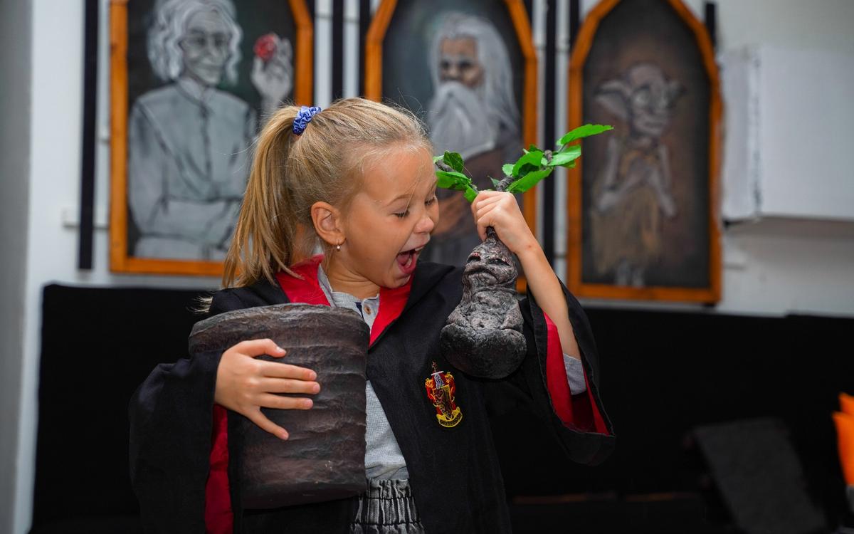 Перформанс Турнир волшебников в Кирове